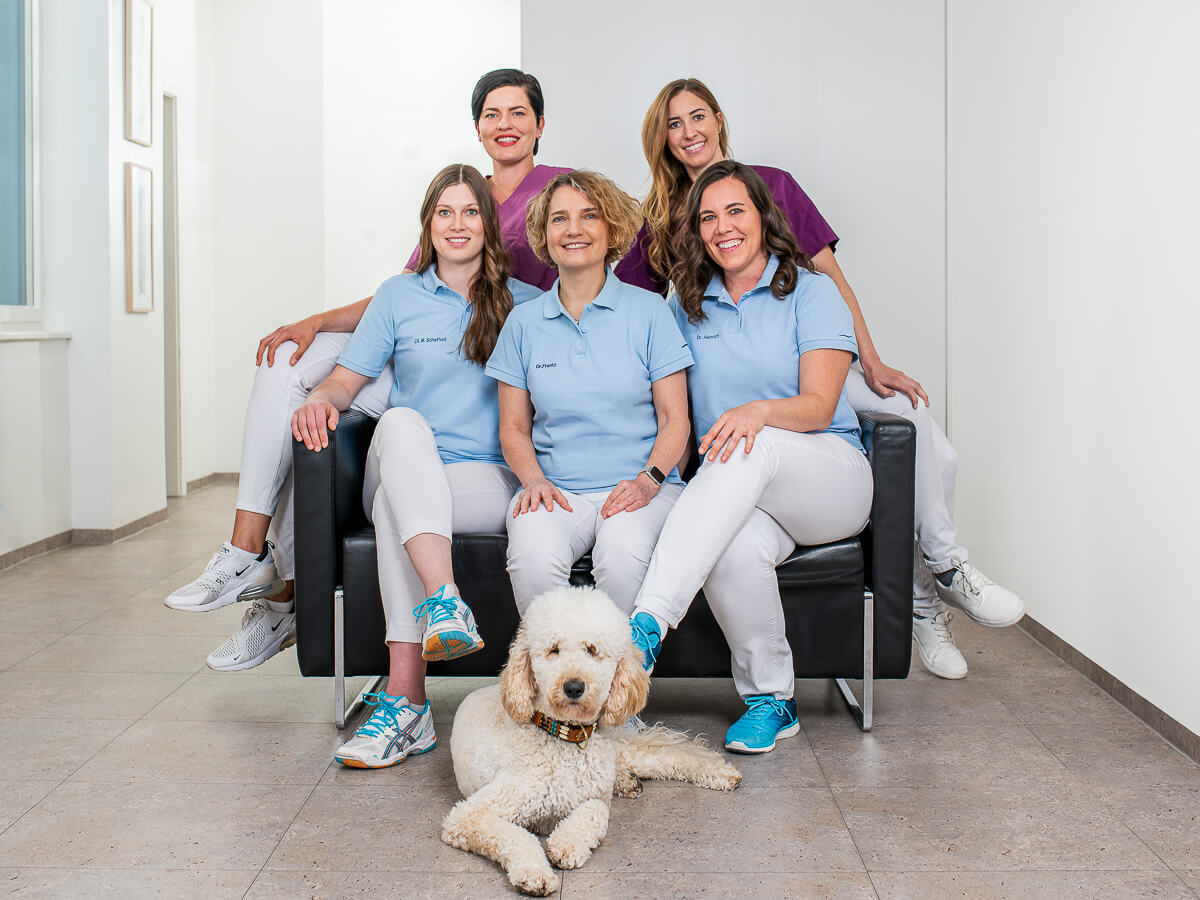 Zahnärzte in Stuttgart Dr. Heike Frentz, Dr. Ines Heinrich, Dr. Fabienne Oberhansl, M. Sc., Dr. Anne Hain, Michaela Scheffold